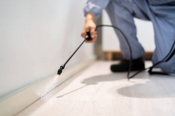 Licensed Pest Control service in Harbour Heights, FL - Show Me Pest Control