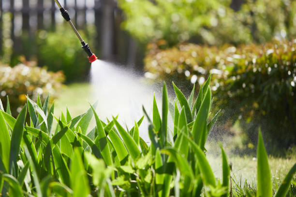24/7 Emergency Wasp Removal experts in Harbour Heights, FL