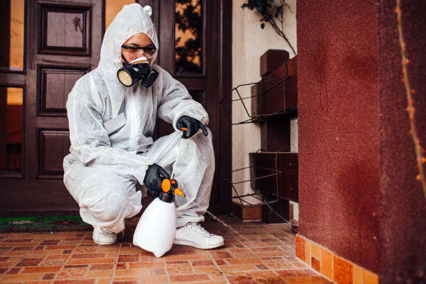Reliable Wasp Removal contractor in Harbour Heights, FL by Show Me Pest Control